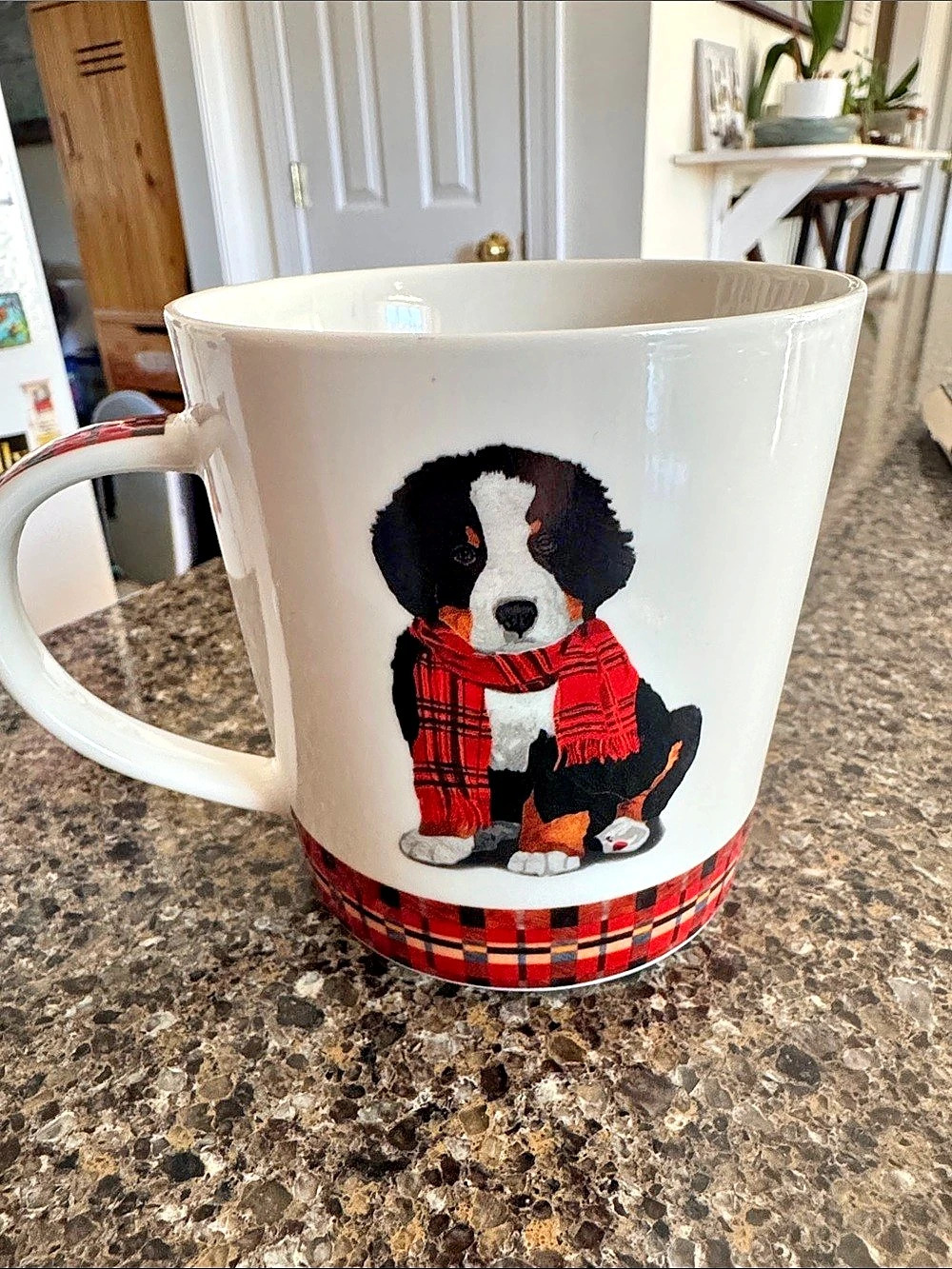 Bernese Mountain Dog Puppy White & Plaid Mug